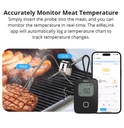 SONOFF BBQ Meat Thermometer
