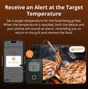 SONOFF BBQ Meat Thermometer
