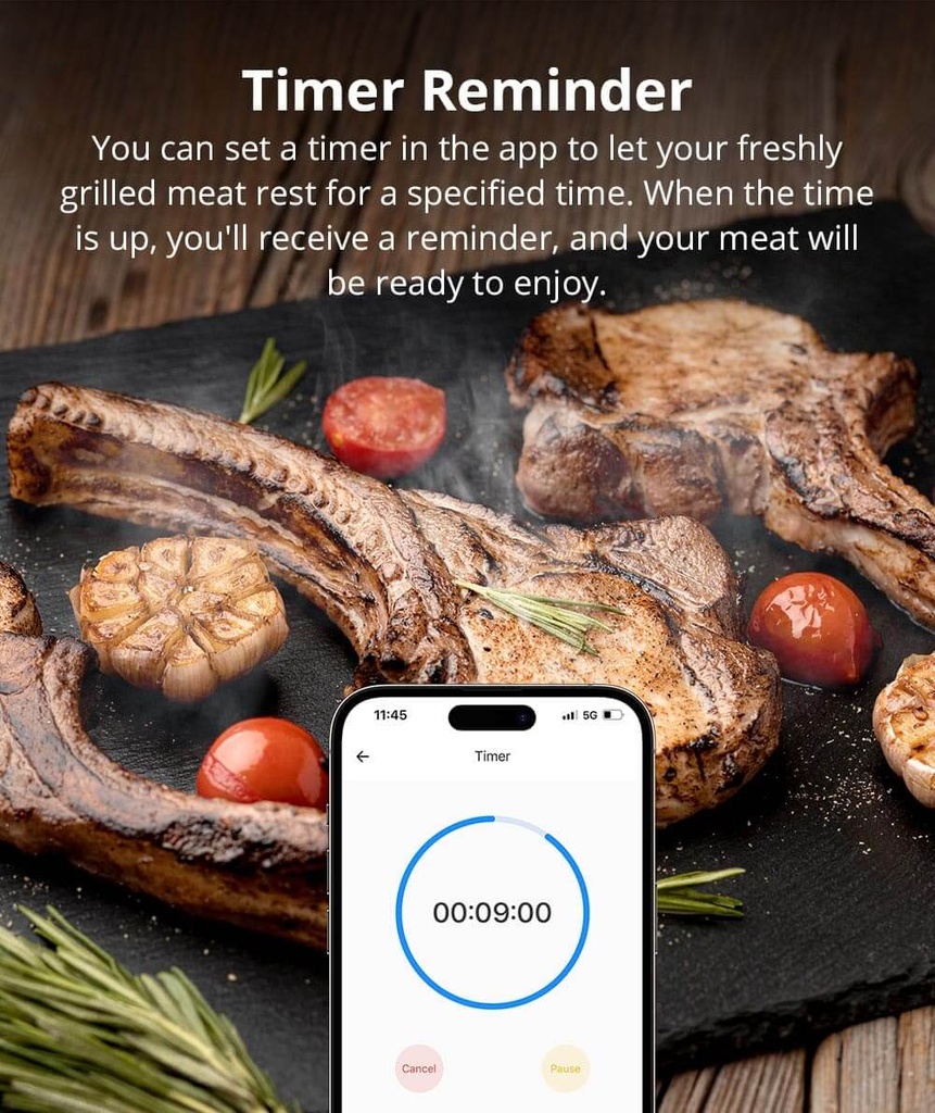 SONOFF BBQ Meat Thermometer