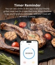 SONOFF BBQ Meat Thermometer