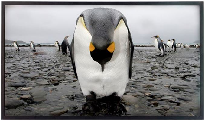 23.8" Sunlight Readable LCD 1200 nits