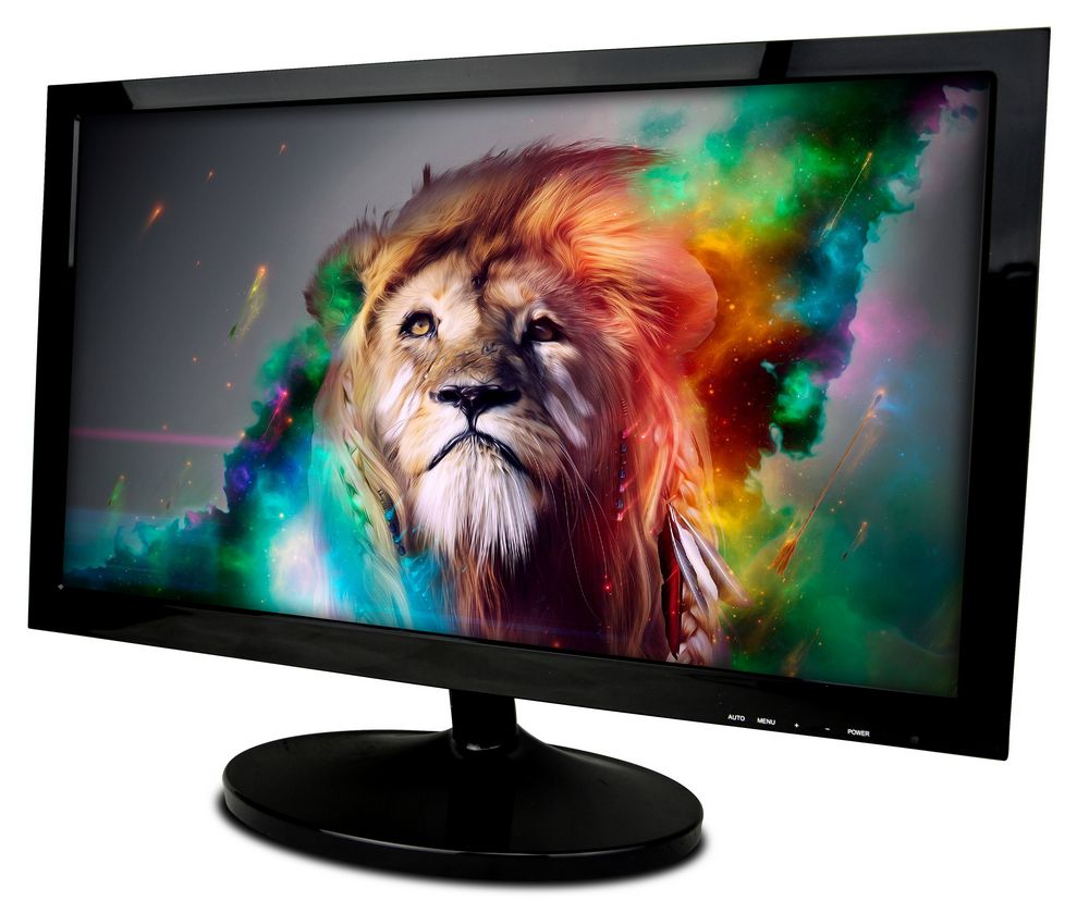 19.5" Monitor with HDMI and Speakers