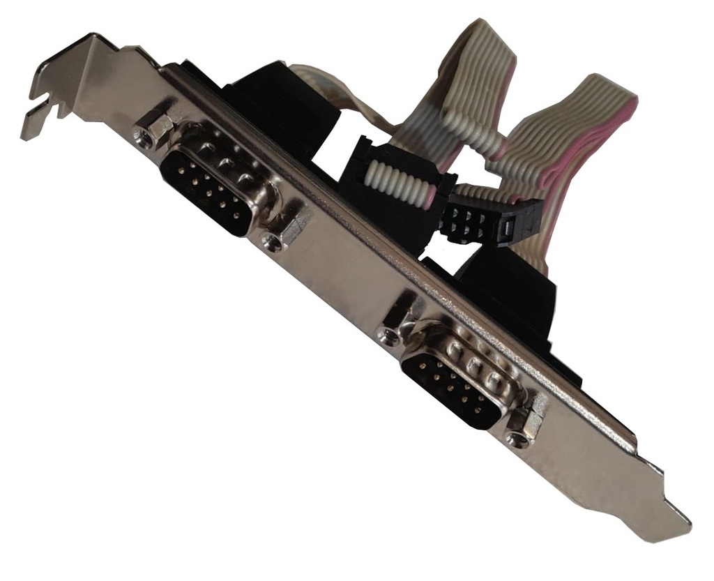 CABLE-SERIAL-2XDE9M-10PIN2.54
