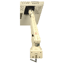 ARM-31