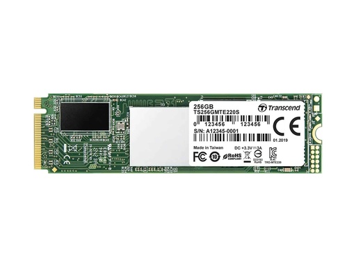 M.2-2280-NVME-DTS-256G