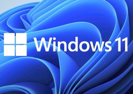 WIN11-PRO-DSP