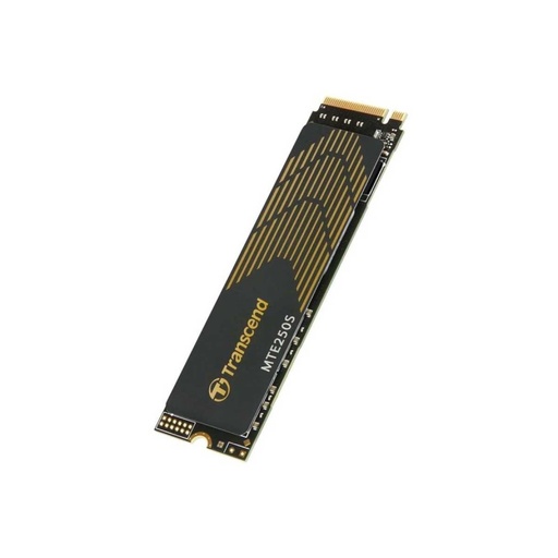 M.2-2280-NVME-DTS-1TB-GEN4